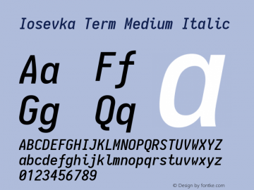 Iosevka Term Medium Italic 1.12.4; ttfautohint (v1.6)图片样张