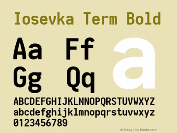 Iosevka Term Bold 1.12.4; ttfautohint (v1.6)图片样张