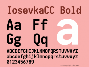 IosevkaCC Bold 1.12.4; ttfautohint (v1.6) Font Sample