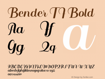 Bender TF Bold Version 1.000图片样张