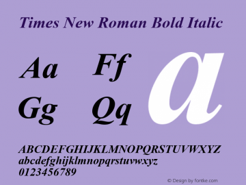 Times New Roman Bold Italic MS core font:V2.00图片样张