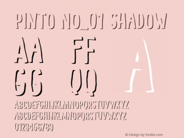 Pinto NO_01 Shadow Version 1.070;PS 001.070;hotconv 1.0.88;makeotf.lib2.5.64775 Font Sample