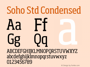 SohoStd-Condensed Version 1.000图片样张