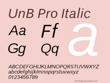 UnBPro-Italic Version 001.001 Font Sample
