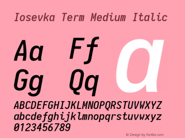 Iosevka Term Medium Italic 1.12.5; ttfautohint (v1.6)图片样张