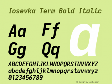 Iosevka Term Bold Italic 1.12.5; ttfautohint (v1.6)图片样张