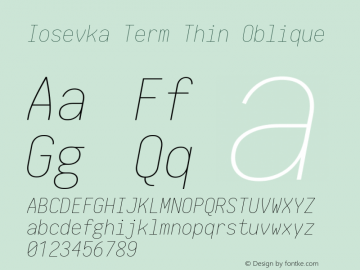 Iosevka Term Thin Oblique 1.12.5; ttfautohint (v1.6)图片样张