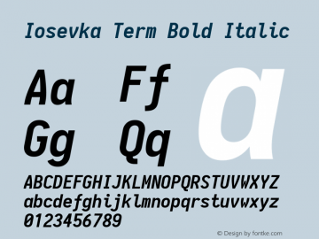 Iosevka Term Bold Italic 1.12.5; ttfautohint (v1.6)图片样张