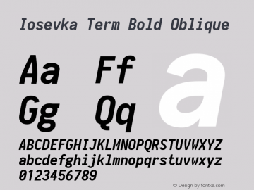 Iosevka Term Bold Oblique 1.12.5; ttfautohint (v1.6)图片样张