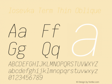 Iosevka Term Thin Oblique 1.12.5; ttfautohint (v1.6)图片样张