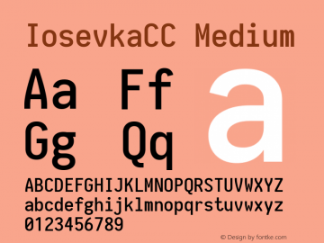 IosevkaCC Medium 1.12.5; ttfautohint (v1.6) Font Sample