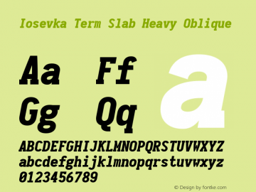 Iosevka Term Slab Heavy Oblique 1.12.5; ttfautohint (v1.6)图片样张