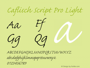 CaflischScriptPro-Light Version 2.074;PS 2.000;hotconv 1.0.68;makeotf.lib2.5.35818图片样张