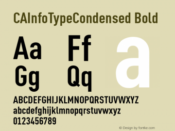 CAInfoTypeCondensed-Bold 1998; 1.0, initial release图片样张