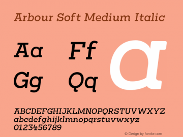 Arbour Soft Medium Italic Version 1.001;PS 001.001;hotconv 1.0.88;makeotf.lib2.5.64775 Font Sample