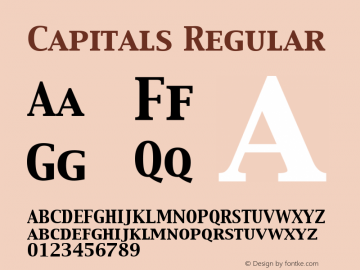 Capitals 3.5a3图片样张
