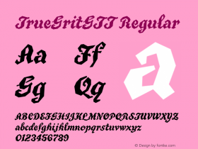 TrueGritGTT TrueType Maker version 3.00.00图片样张