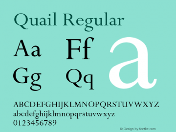 Quail Regular Unknown图片样张