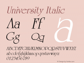 University Italic W.S.I. Int'l v1.1 for GSP: 6/20/95图片样张
