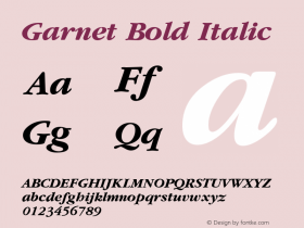 Garnet Bold Italic W.S.I. Int'l v1.1 for GSP: 6/20/95图片样张