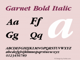 Garnet Bold Italic W.S.I. Int'l v1.1 for GSP: 6/20/95 Font Sample