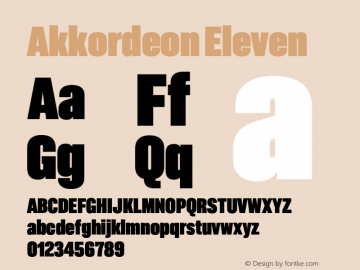 Akkordeon Eleven Version 1.000;PS 1.0;hotconv 1.0.88;makeotf.lib2.5.647800 Font Sample