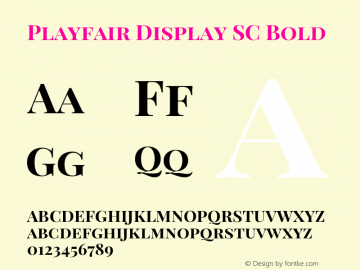 Playfair Display SC Bold Version 1.004;PS 001.004;hotconv 1.0.70;makeotf.lib2.5.58329; ttfautohint (v0.96) -l 42 -r 42 -G 200 -x 14 -w 