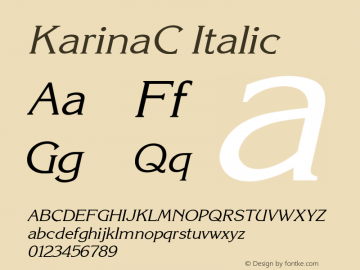 KarinaC Italic 1.100.000图片样张