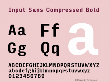 InputSansCompressed Bold Version 0.000;PS 0.0;hotconv 1.0.72;makeotf.lib2.5.5900图片样张