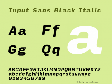 InputSans BlackIta Version 0.000;PS 0.0;hotconv 1.0.72;makeotf.lib2.5.5900; ttfautohint (v0.9)图片样张