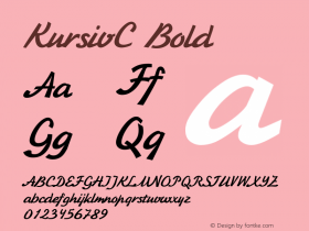 KursivC Bold 1.100.000图片样张