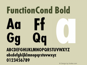 FunctionCond-Bold 001.000图片样张