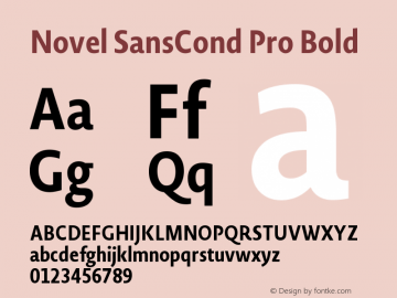 Novel SansCond Pro Bold 1.000图片样张