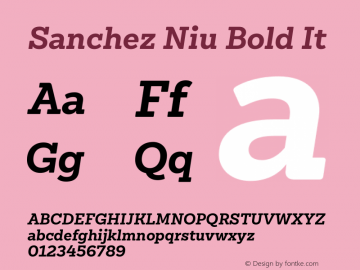 Sanchez Niu Bold It Version 1.005;PS 001.005;hotconv 1.0.88;makeotf.lib2.5.64775 Font Sample