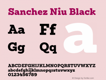 Sanchez Niu Black Version 1.005;PS 001.005;hotconv 1.0.88;makeotf.lib2.5.64775 Font Sample
