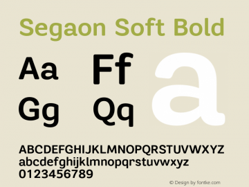 SegaonSoft-Bold Version 1.000;PS 001.001;hotconv 1.0.56图片样张