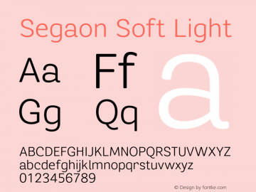 SegaonSoft-Light Version 1.000;PS 001.001;hotconv 1.0.56图片样张