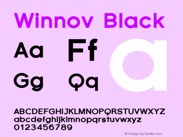 Winnov-Black Version 001.000图片样张