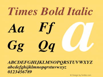Times Bold Italic 3.0 Font Sample