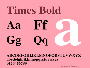 Times Bold 3.0 Font Sample