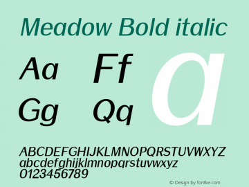 Meadow Bold italic Version 1.0 Font Sample