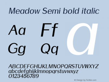 Meadow Semi bold italic Version 1.0图片样张