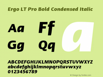 ErgoLTPro-BoldCondensedIta Version 1.000;PS 001.000;hotconv 1.0.38 Font Sample