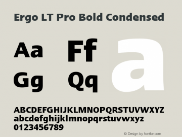 ErgoLTPro-BoldCondensed Version 1.000;PS 001.000;hotconv 1.0.38 Font Sample