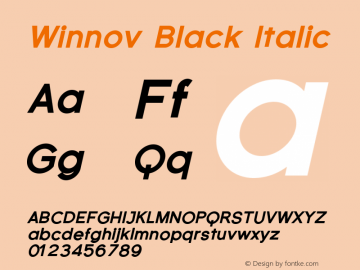 Winnov-BlackItalic Version 001.000图片样张