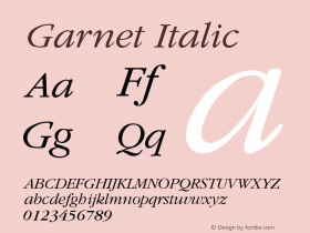 Garnet Italic (C)opyright 1992 W.S.I.  4/02/92图片样张