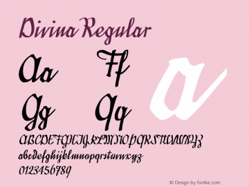 Divina Macromedia Fontographer 4.1.5 6/21/04图片样张
