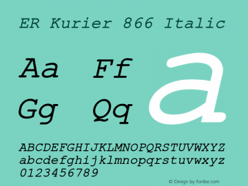 ER Kurier 866 Italic 4.0 Sun Mar 05 1995图片样张