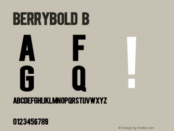 BERRYBOLD-Bold Version 2.000图片样张