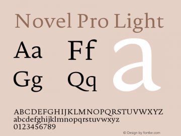 NovelPro-Light Version 1.005图片样张